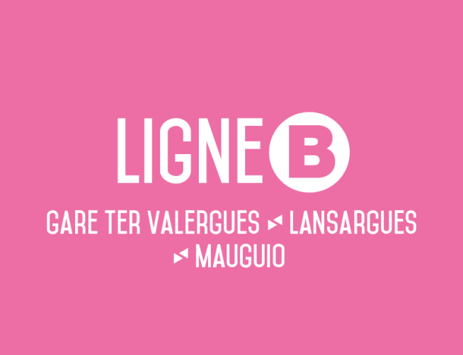 Ligne B
