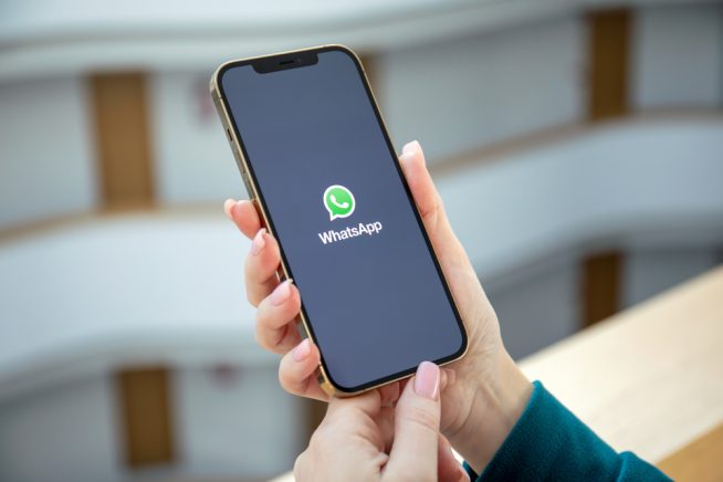 Atelier numérique : communiquer avec WhatsApp